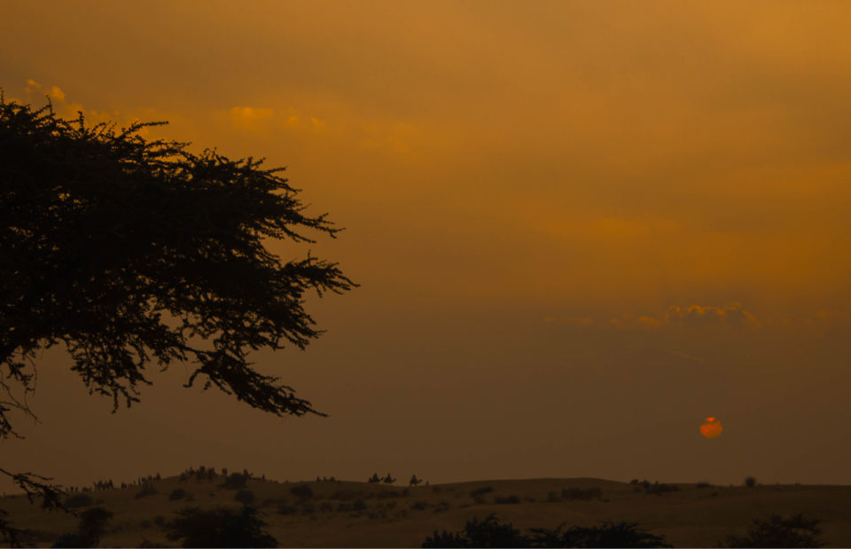 Photo of Sand dunes, shooting stars and stories. by Kritika Varma