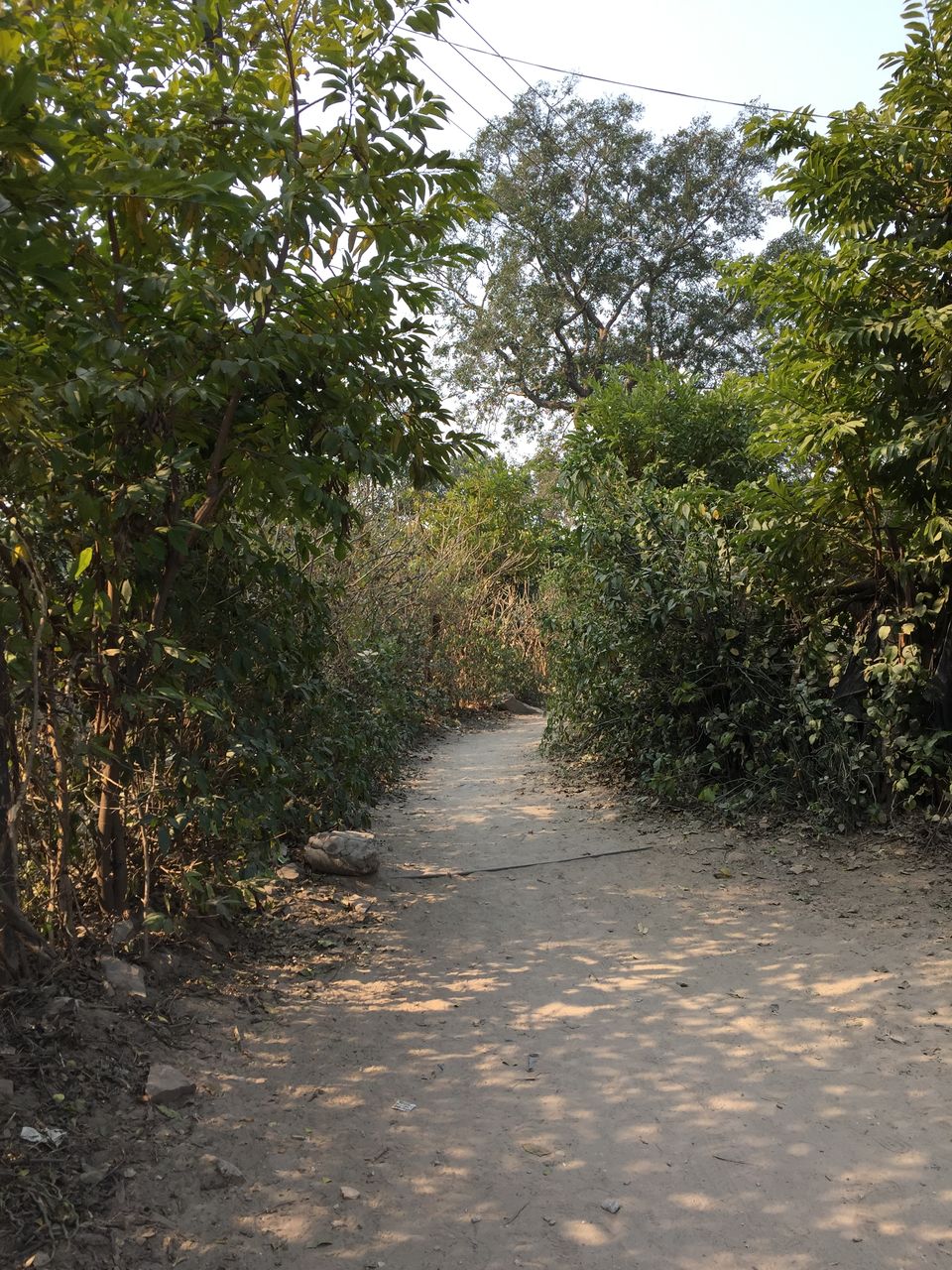 Photo of When in Rishikesh, say 'Har Har Gange'. by Neha Dharwar