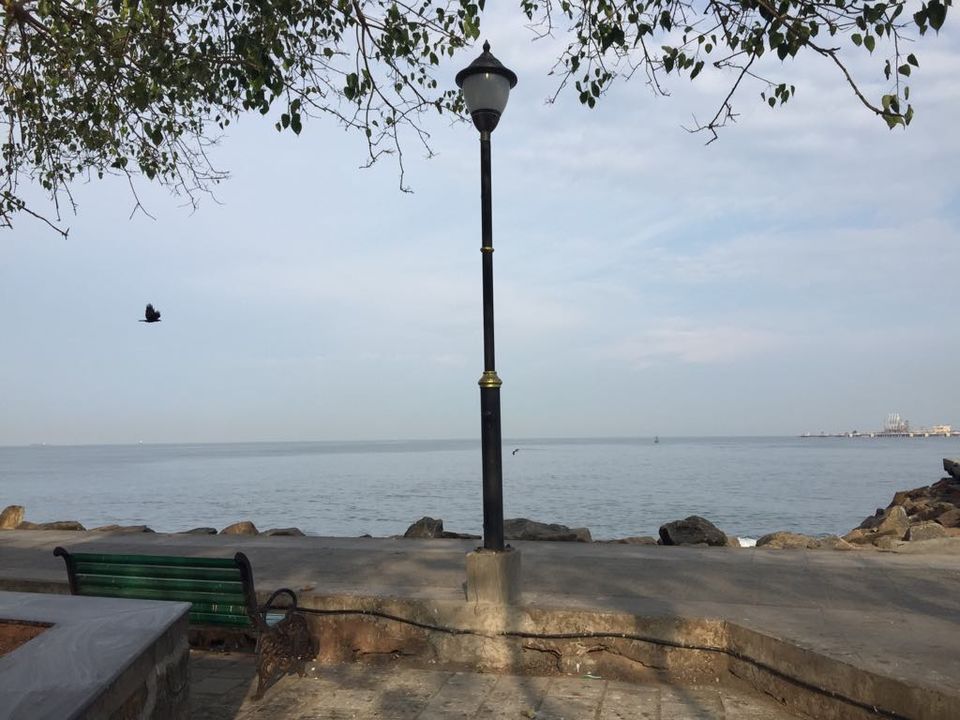 Photo of Fort Kochi, a paradise hidden in Kerala. 20/33 by Neha Dharwar