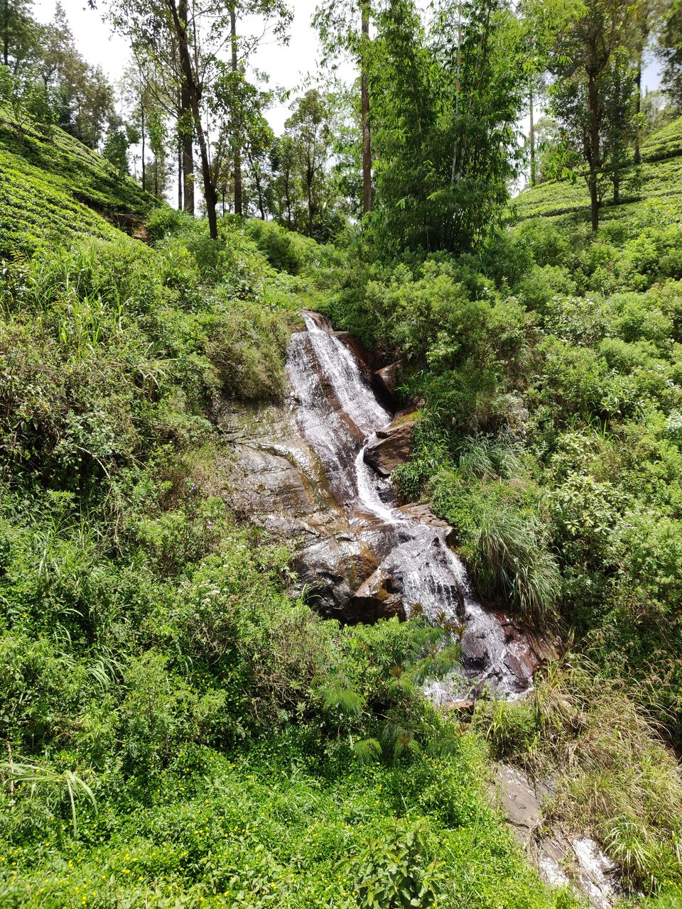 Photo of Beguiling Sri Lanka by Neha Dharwar