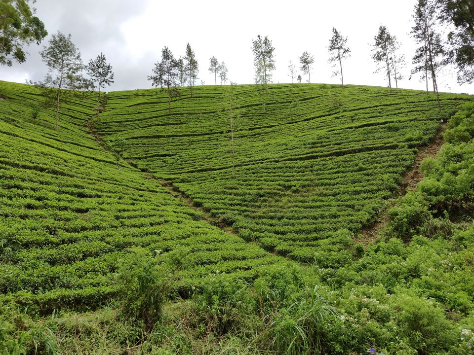 Photo of Beguiling Sri Lanka by Neha Dharwar