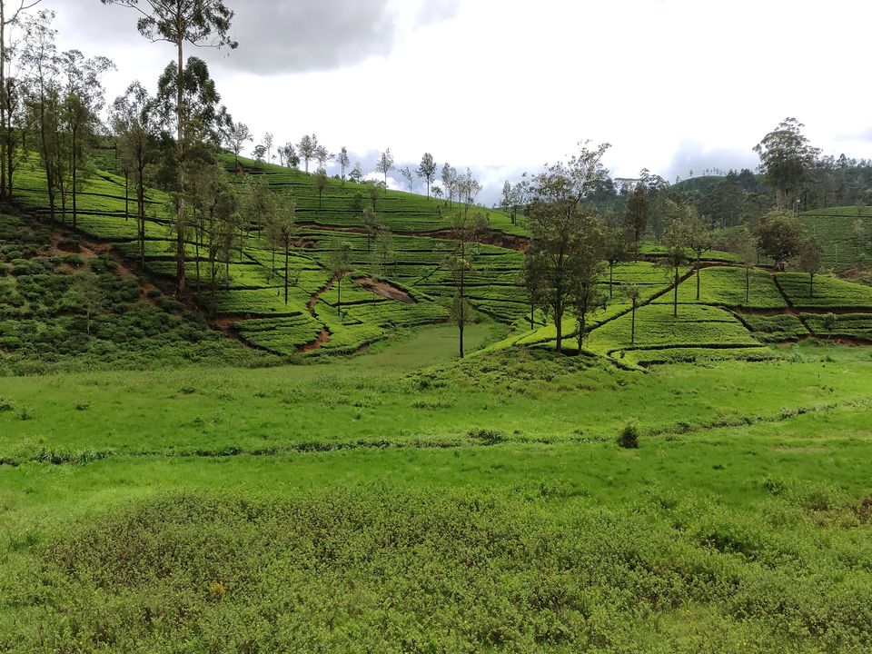 Photo of Beguiling Sri Lanka by Neha Dharwar