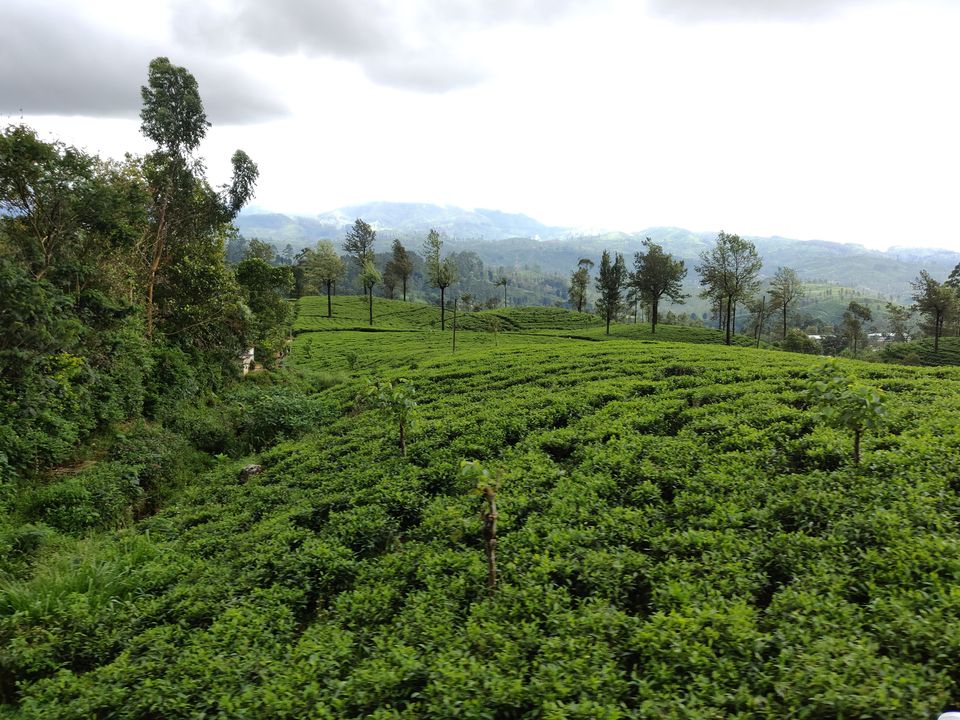 Photo of Beguiling Sri Lanka by Neha Dharwar
