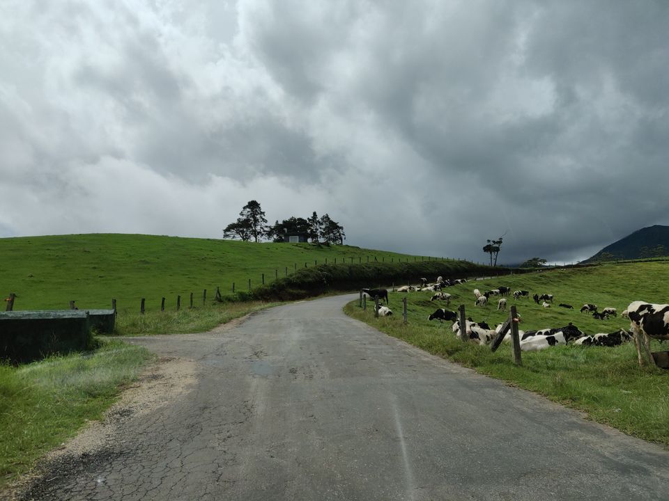 Photo of Nuwara Eliya, Sri Lanka by Neha Dharwar