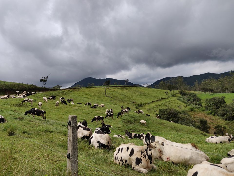Photo of Nuwara Eliya, Sri Lanka by Neha Dharwar