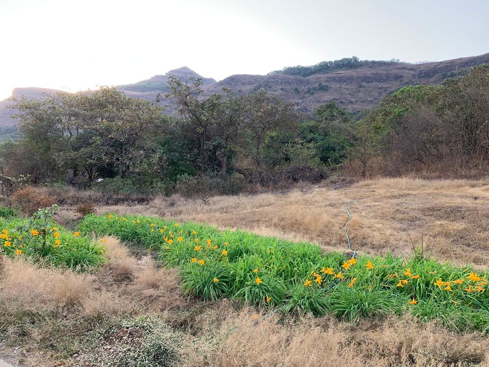 Photo of A cabin in the woods, Machan. 3/6 by Neha Dharwar