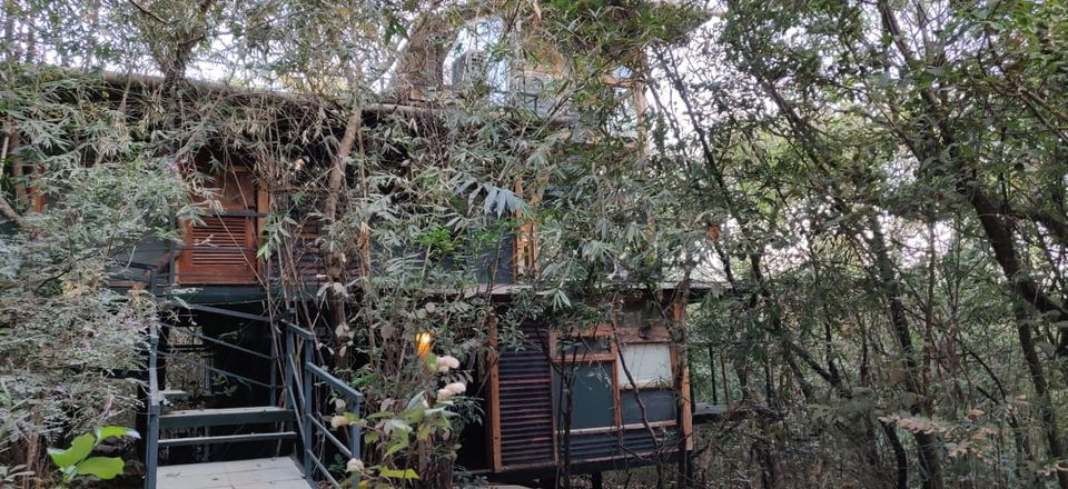 Photo of The Machan, Private Road, Atvan, Maharashtra, India by Neha Dharwar