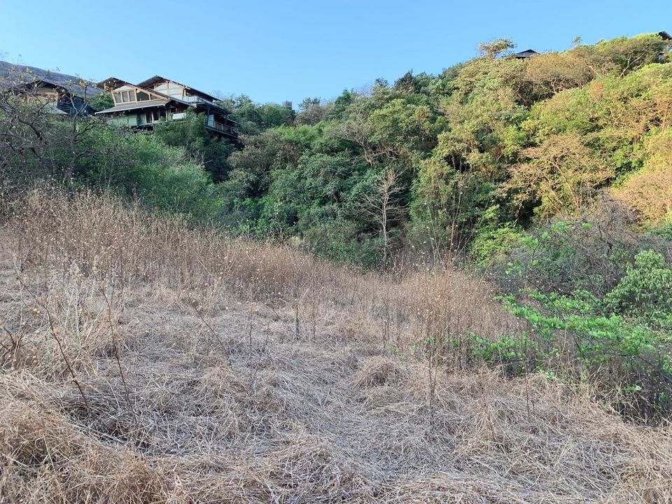 Photo of A cabin in the woods, Machan. by Neha Dharwar