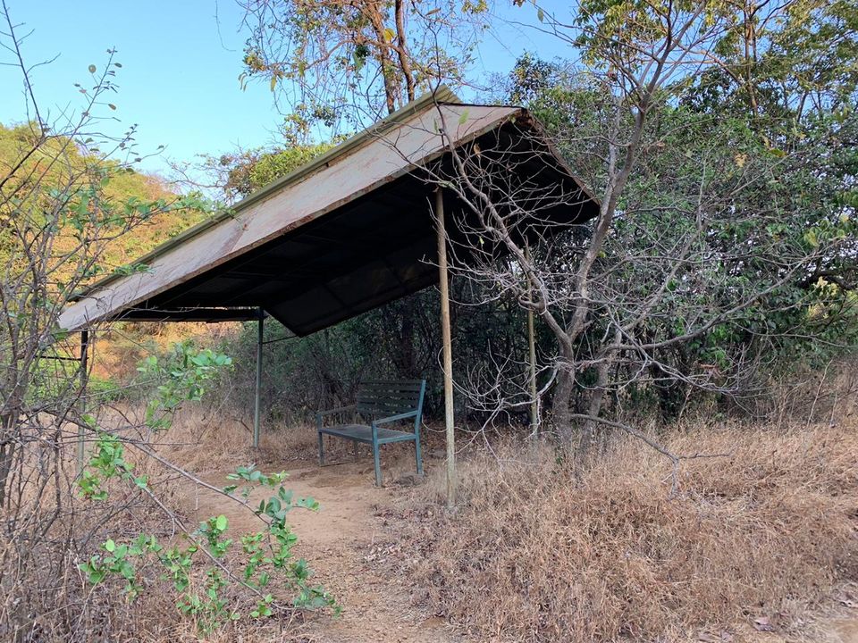 Photo of A cabin in the woods, Machan. by Neha Dharwar