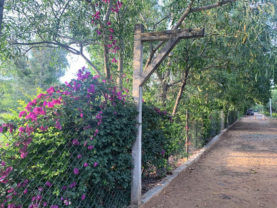 Photo of A Pet-friendly getaway right outside Bangalore. by Neha Dharwar