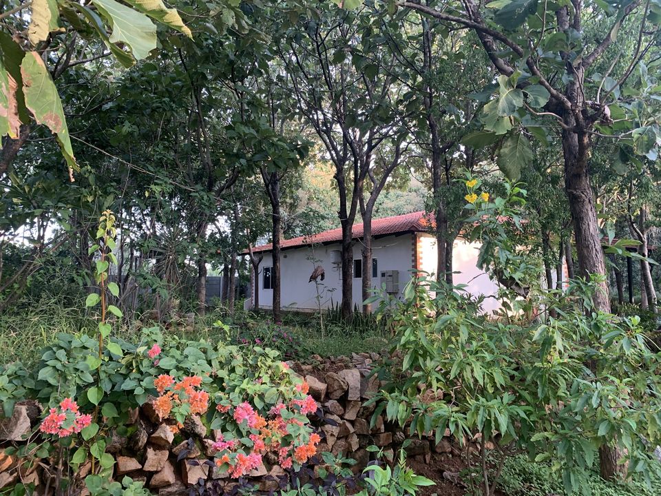 Photo of A Pet-friendly getaway right outside Bangalore. by Neha Dharwar
