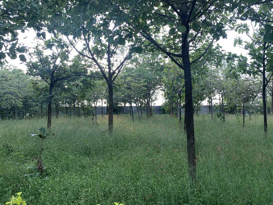Photo of A Pet-friendly getaway right outside Bangalore. by Neha Dharwar
