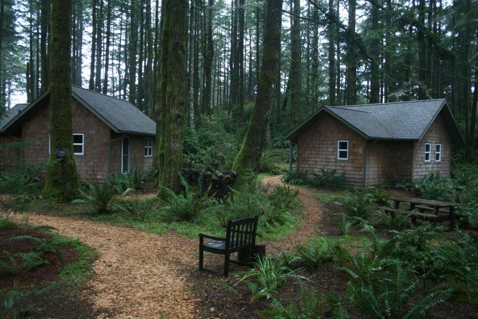 Photo of WildSpring Guest Habitat, Cemetery Loop Road, Port Orford, OR, United States by Mike