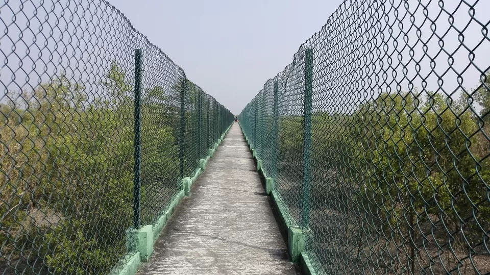 Photo of Sundarbans by Ajanta Boro