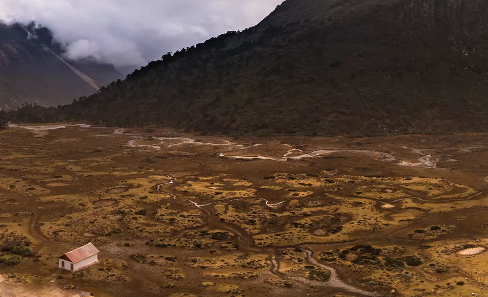 Photo of Chopta Valley, Sikkim, India by Tanay Das