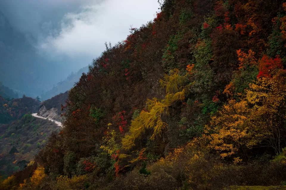 Photo of Lachen, Sikkim, India by Tanay Das