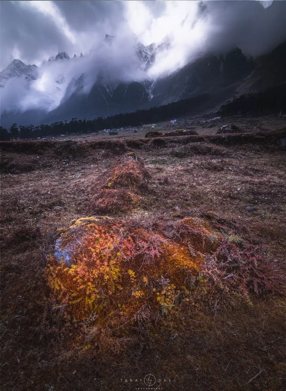 Photo of Valley of Flowers, Yumthang, Sikkim, India by Tanay Das