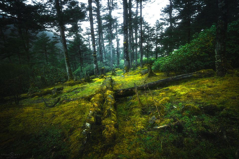 Photo of NORTH SIKKIM : from a photographers perspective by Tanay Das