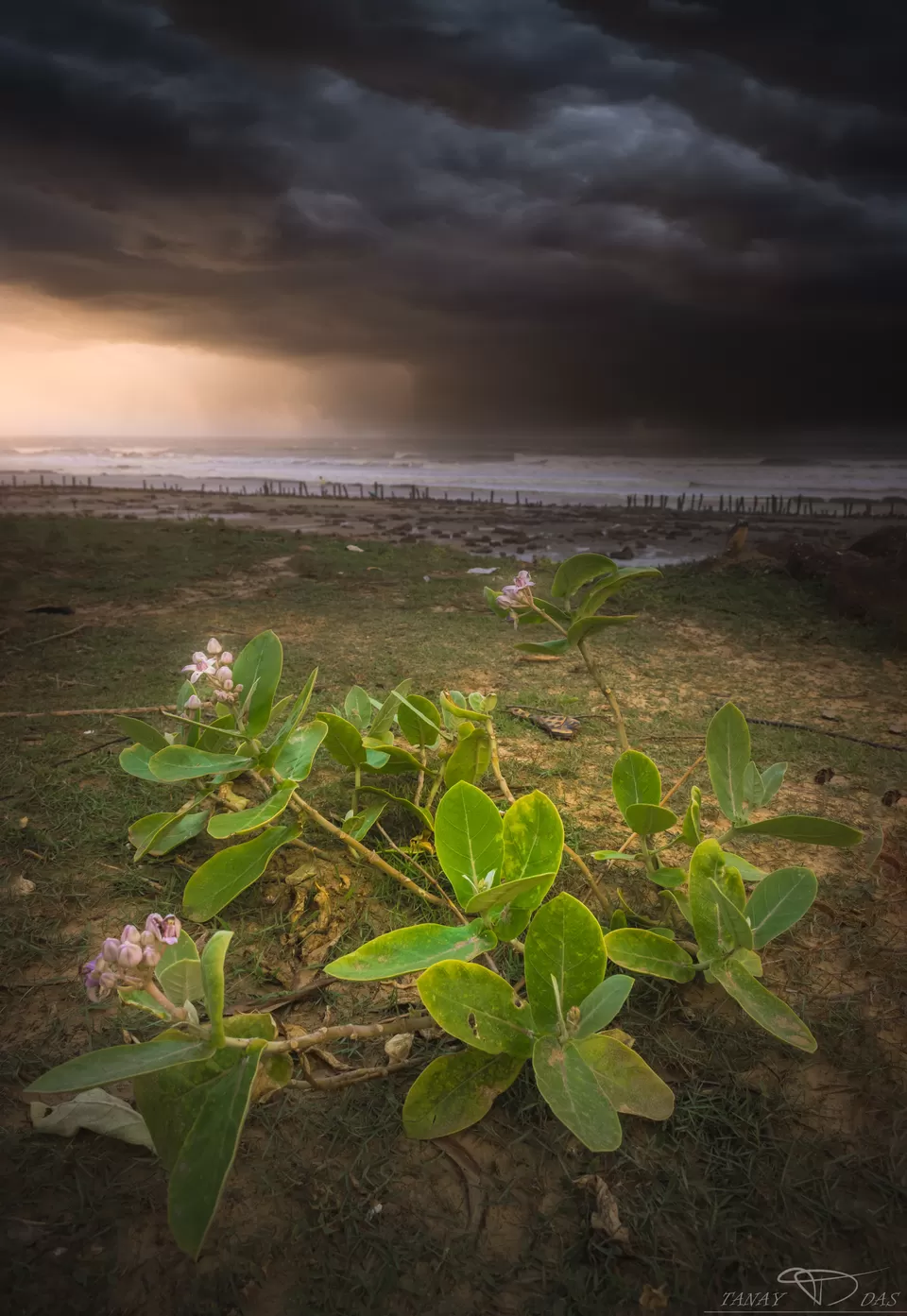 Photo of The Riverine Beaches of Bengal by Tanay Das