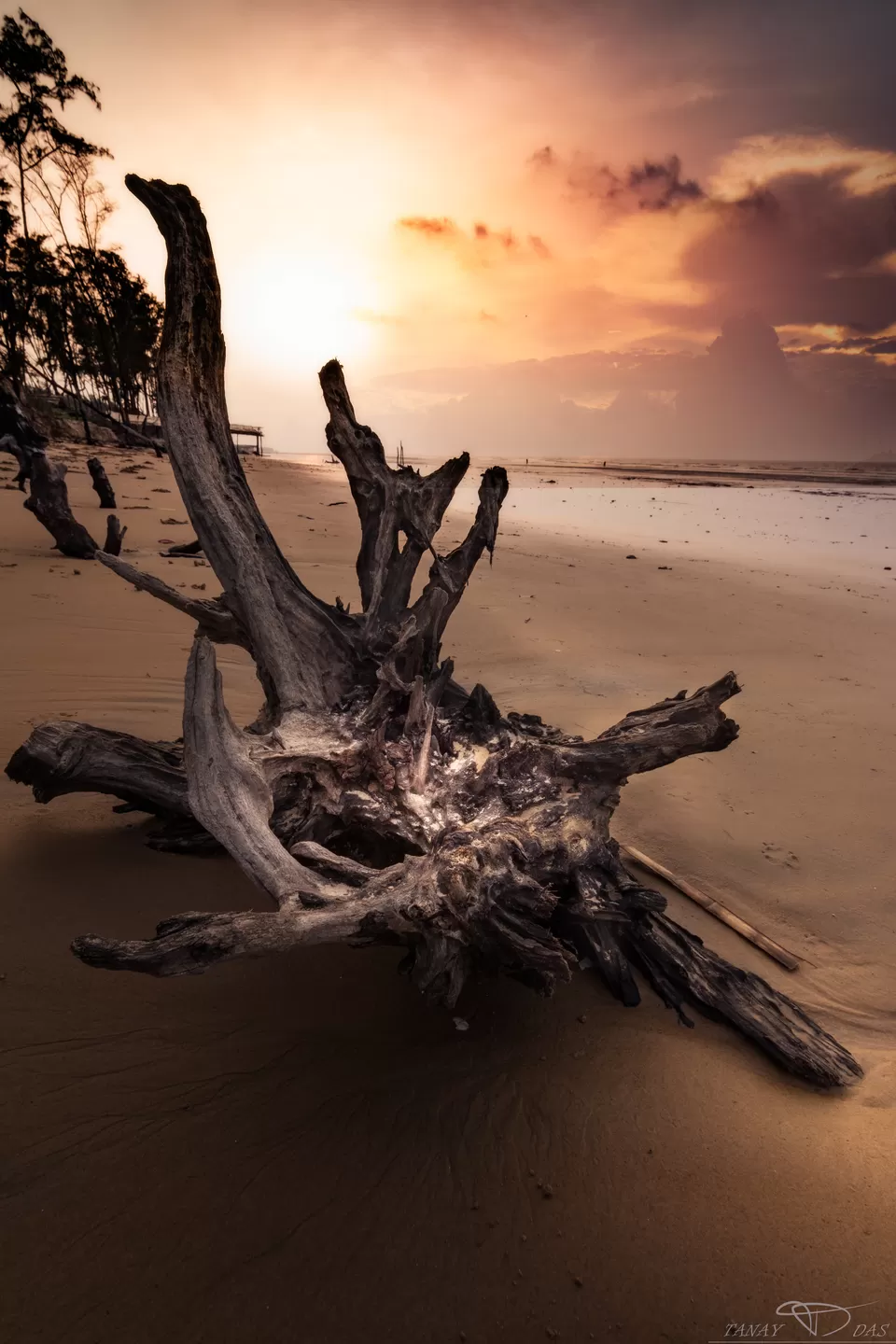 Photo of The Riverine Beaches of Bengal by Tanay Das