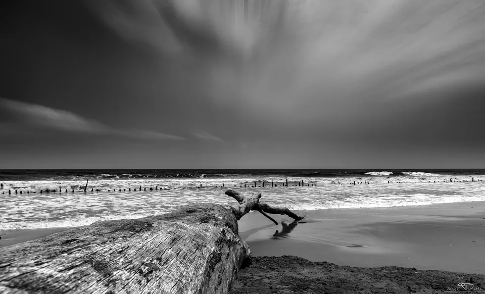 Photo of The Riverine Beaches of Bengal by Tanay Das