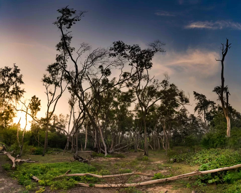 Photo of The Riverine Beaches of Bengal by Tanay Das