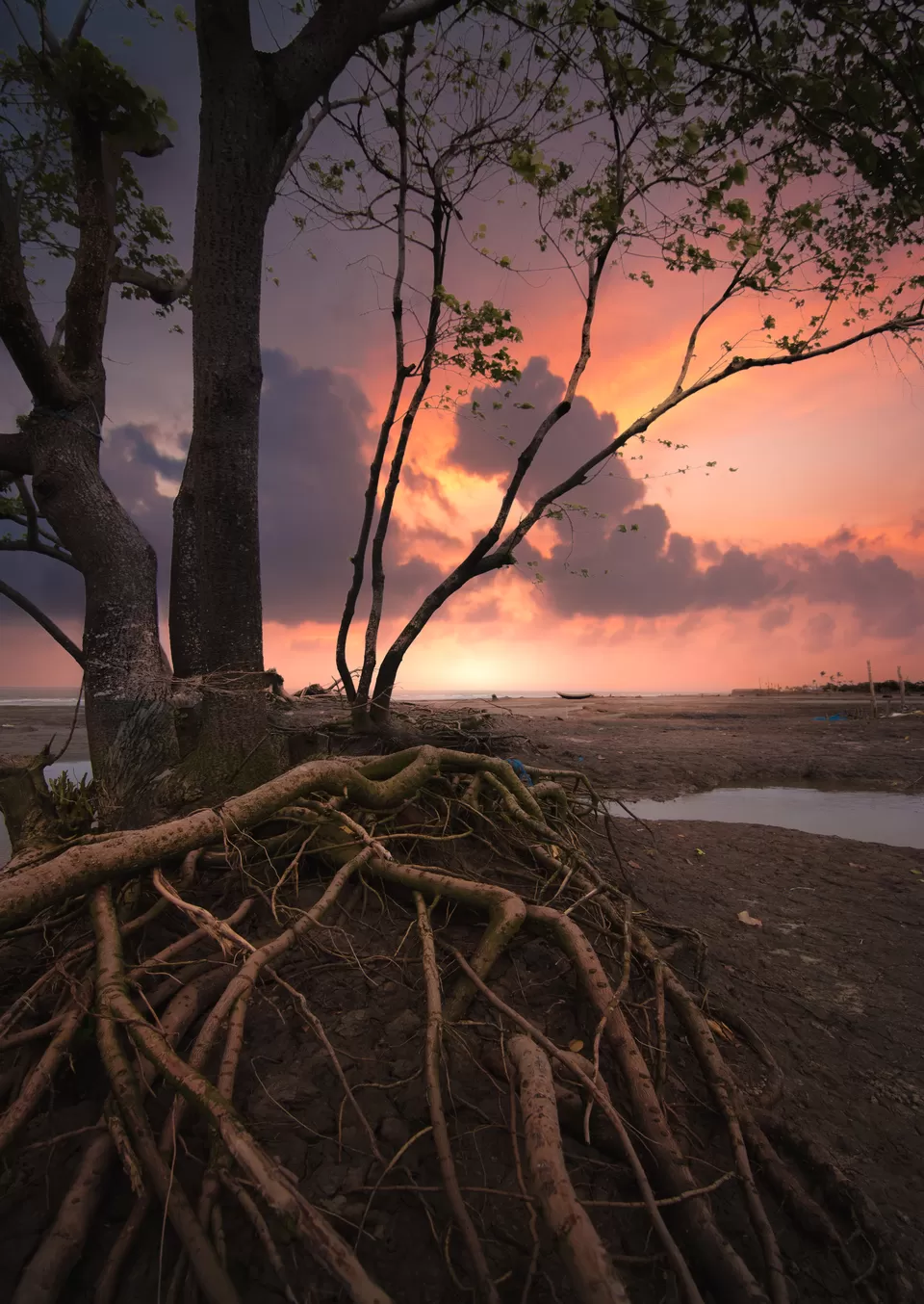 Photo of The Riverine Beaches of Bengal by Tanay Das