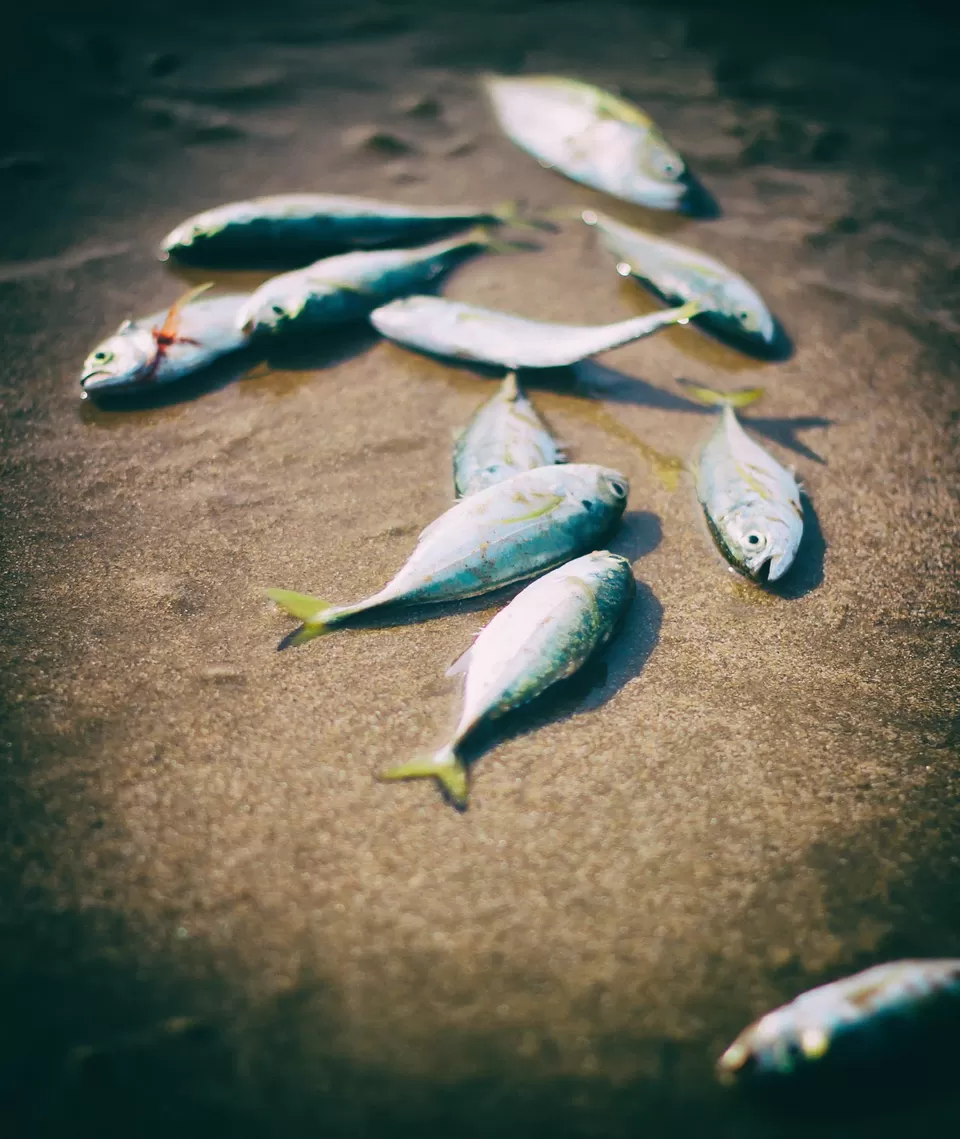 Photo of Gokarna by Sumit Bose