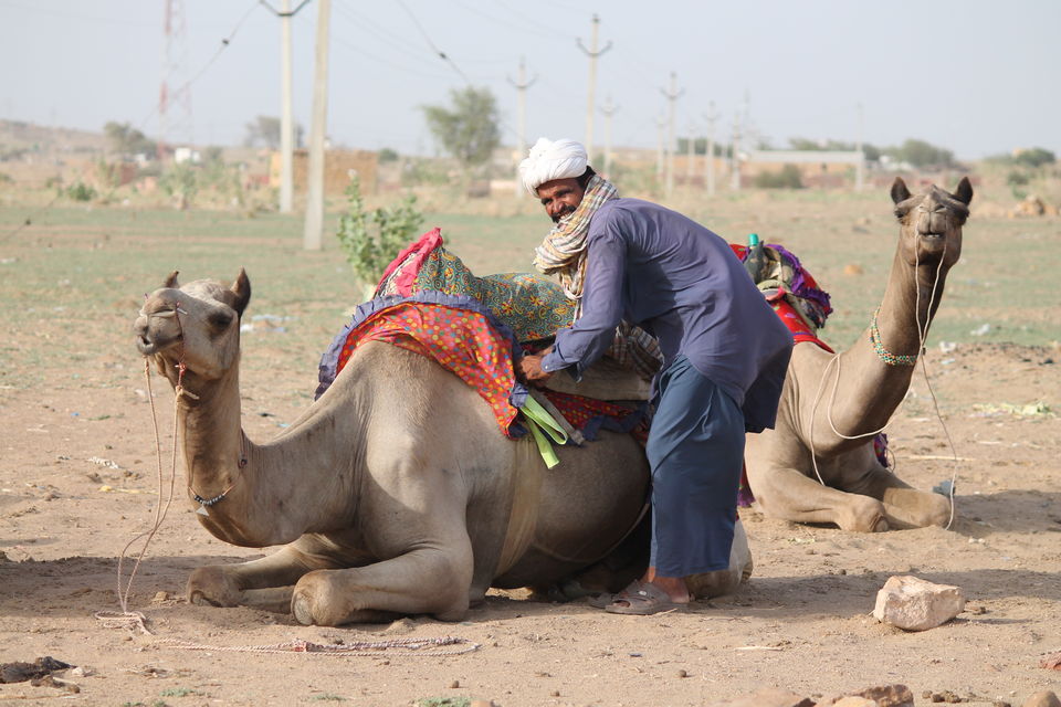 Photo of City of sand and camels: Jaisalmer by Atubin