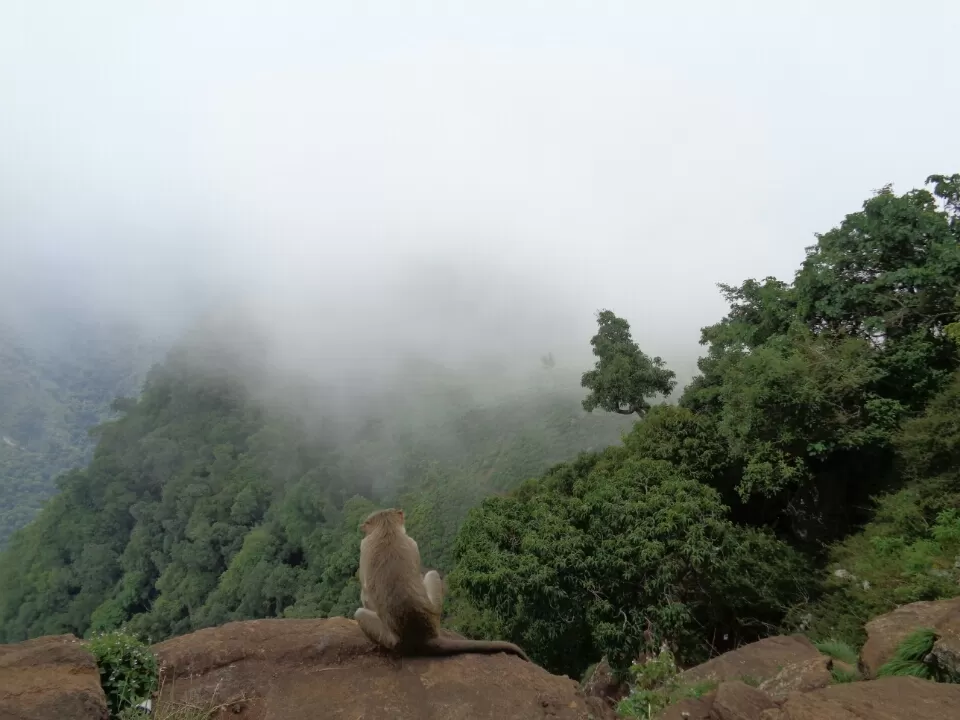Photo of Dolphins Nose, Yedappalli, Tamil Nadu, India by Pooja Desai