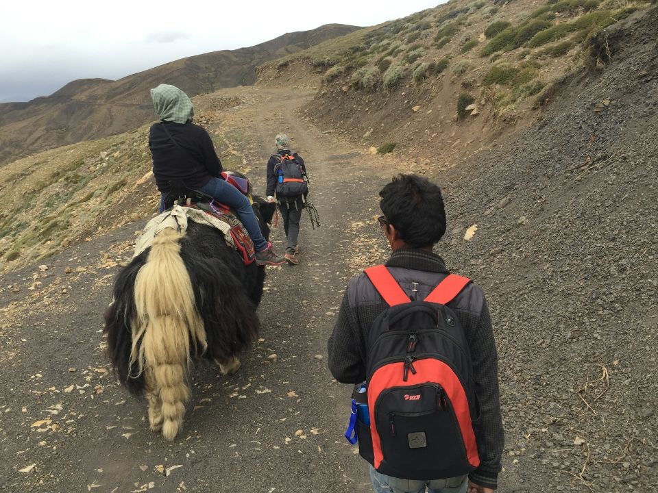 Photo of Yak Safari @ Spiti by Chandrashila