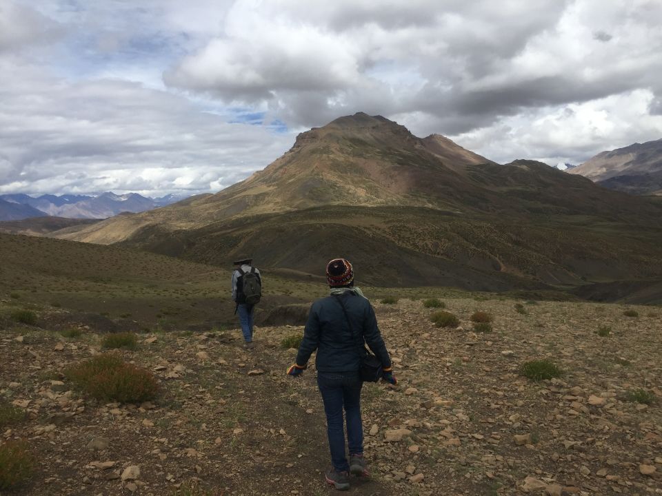 Photo of Yak Safari @ Spiti by Chandrashila