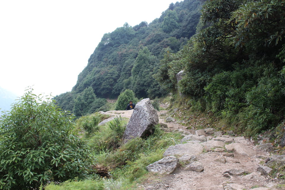 Photo of Trip to the Land of Gods 5/27 by Rachit Sharma