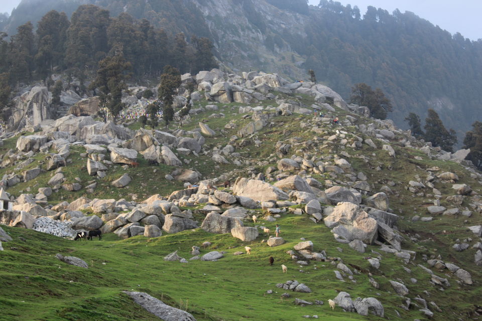 Photo of Trip to the Land of Gods 11/27 by Rachit Sharma