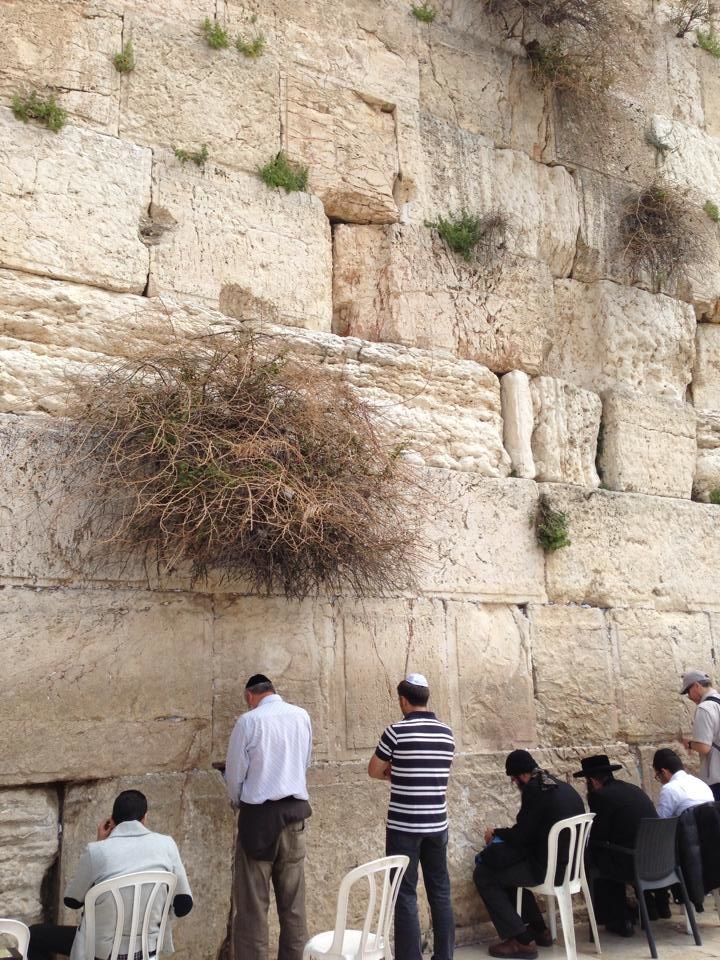 Photo of I Left My Heart in Israel 38/61 by Neil Mugas