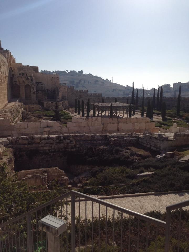 Photo of I Left My Heart in Israel 14/61 by Neil Mugas