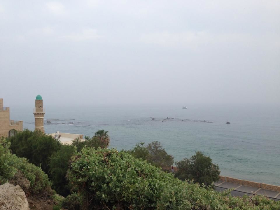 Photo of I Left My Heart in Israel 50/61 by Neil Mugas