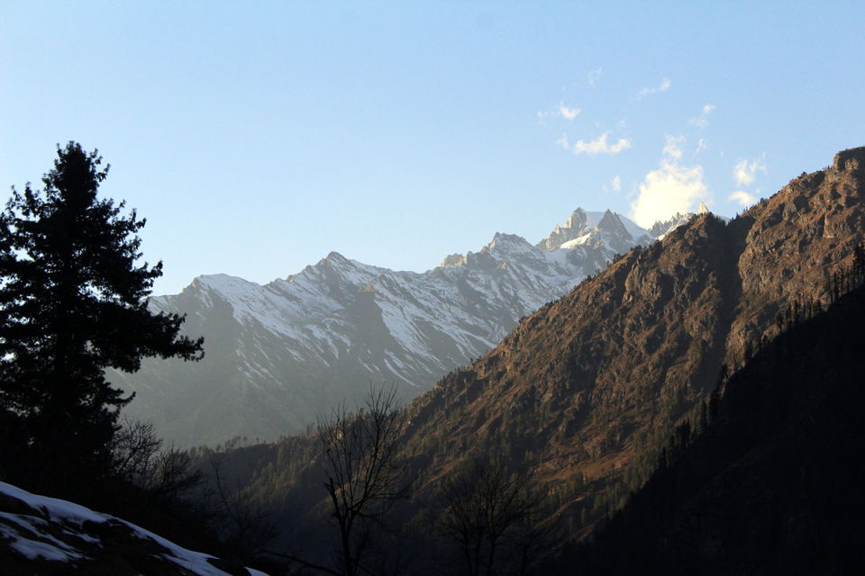 Photo of My First Encounter With Nature 3/3 by Srikanth Kanchinadham
