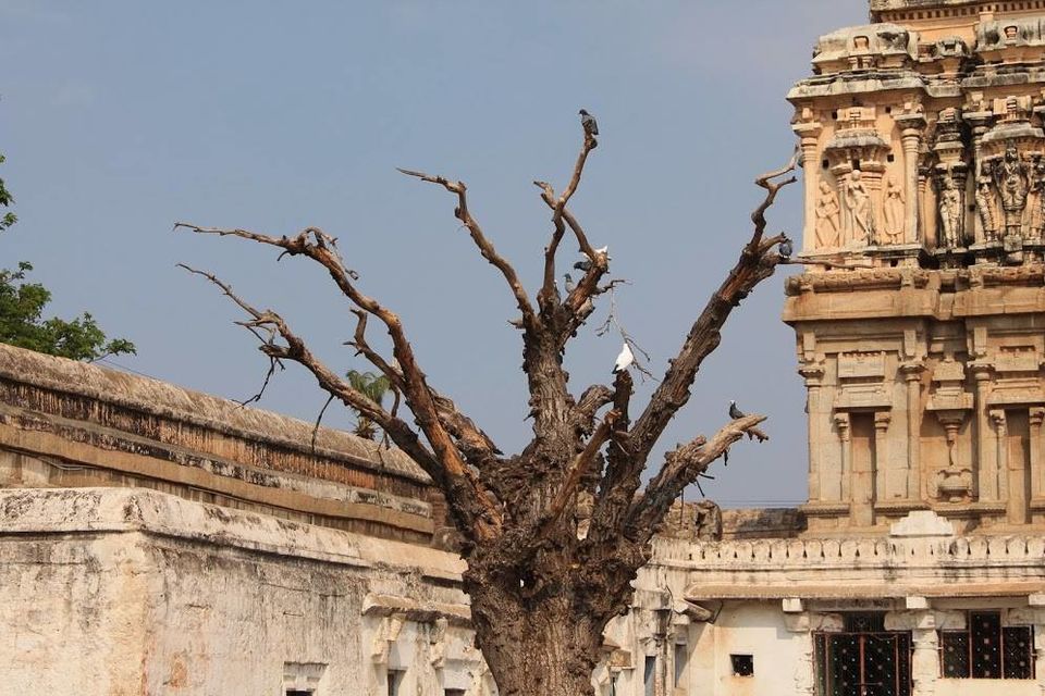 Photo of Backpacking to Hampi for an extended weekend 13/37 by Omkar Shibad