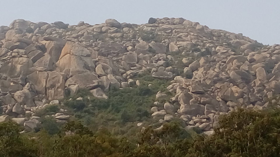 Photo of Away from Bangalore for a Day by sree