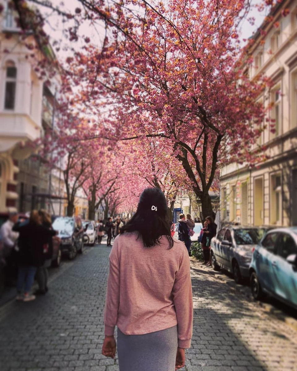 Photo of This European City Has A Cherry Blossom Avenue Just Like Japan! by Ankita & Mohit