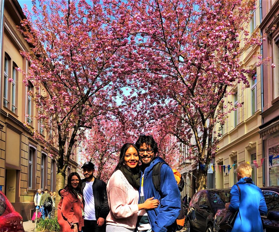 Photo of This European City Has A Cherry Blossom Avenue Just Like Japan! by Ankita & Mohit