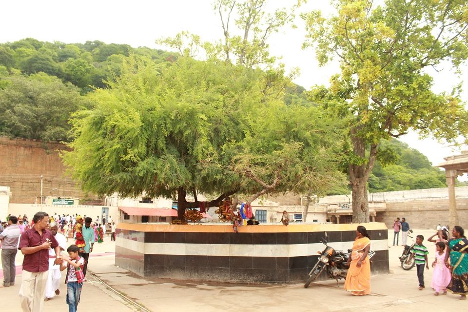 Photo of Alagar Kovil, Alagar Hills R.F., Tamil Nadu, India by Arun Sadheesh
