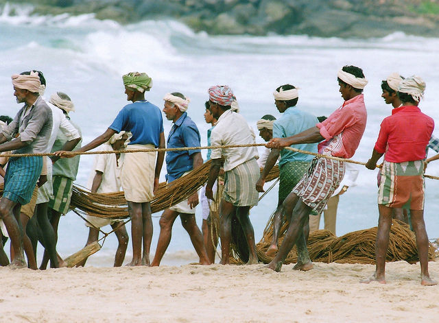 Photo of KOVALAM: The Coconut Forest 5/9 by Chandrim Chatterjee