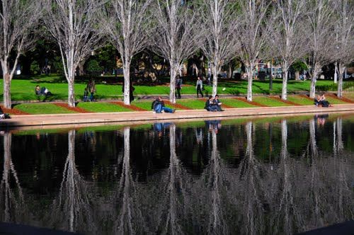 Photo of Hyde Park, Elizabeth Street, Sydney, New South Wales, Australia by Lauren Hughes