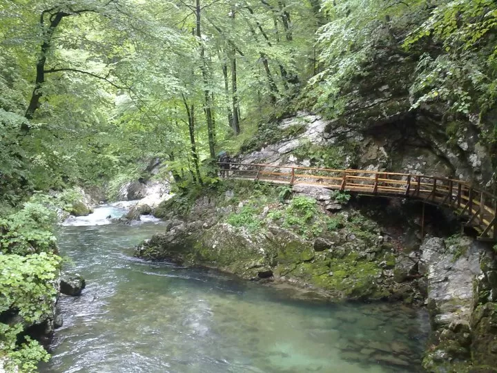 Photo of Predjama Castle, Predjama, Postojna, Slovenia by Sonali Shah