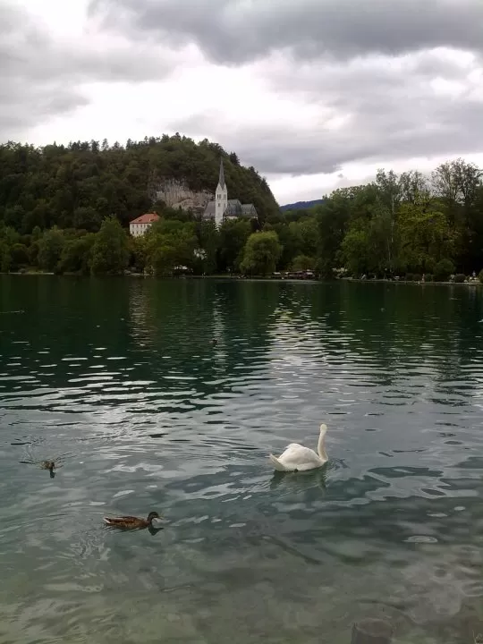 Photo of Lake Bled, Radovljica, Slovenia by Sonali Shah