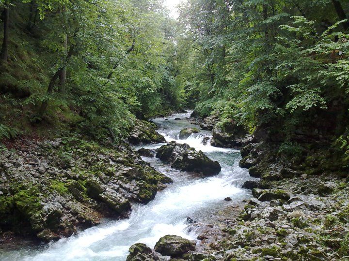 Photo of Slovenia demystified! 38/55 by Sonali Shah