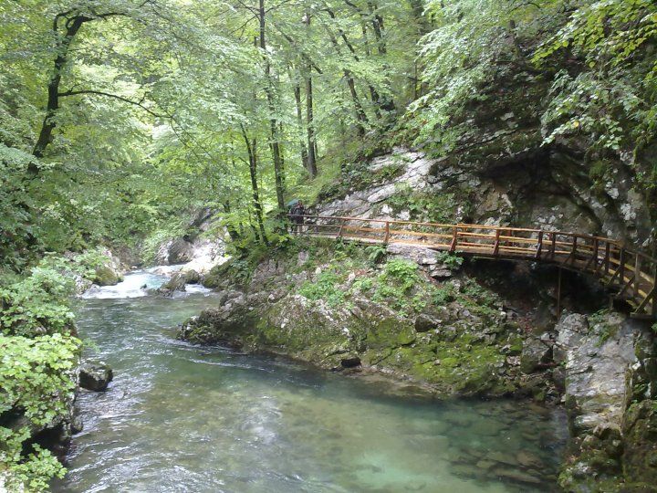 Photo of Slovenia demystified! 39/55 by Sonali Shah