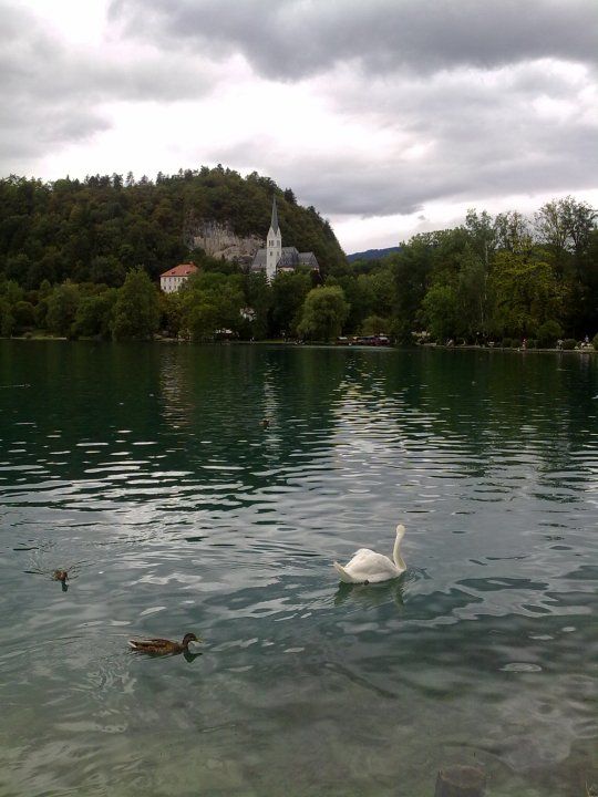 Photo of Slovenia demystified! 28/55 by Sonali Shah